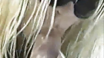 Ibu mesum dengan putri dan bokep indonesia bandung kekasih mengatur pesta seks biseksual
